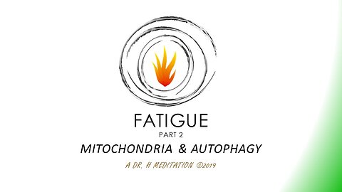 EHI Masterclass - Fatigue Pt. 2