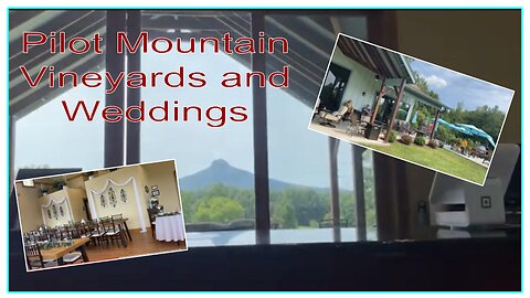 Vineyard with View of Pilot Mountain, Weddings Venue, Parties, Relax With View