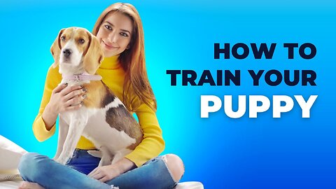 How to train your puppy (dog)