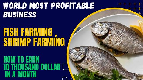 Biofloc Fish Farming| Fish Farming Business | Small business ideas