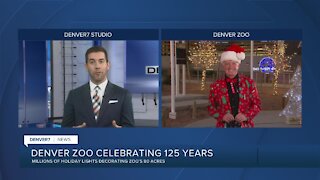 31st Anniversary Denver Zoo Lights