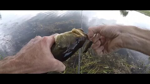 Fishing With Dad