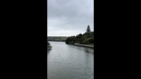 Orakei Basins | New Zealand | Auckland