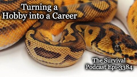 Turning a Hobby into a Career - Epi-3384