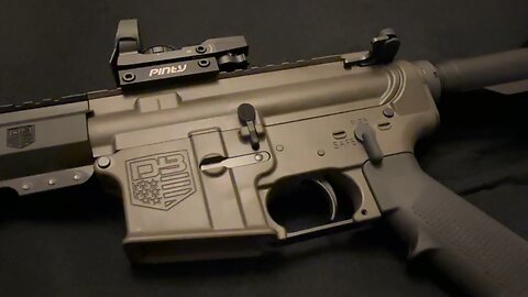 Pinty Reflex Sight/Laser on DB15 AR15