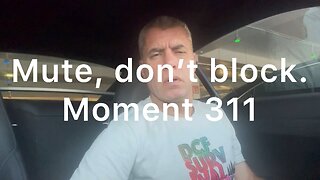 Mute, don’t block. Moment 311