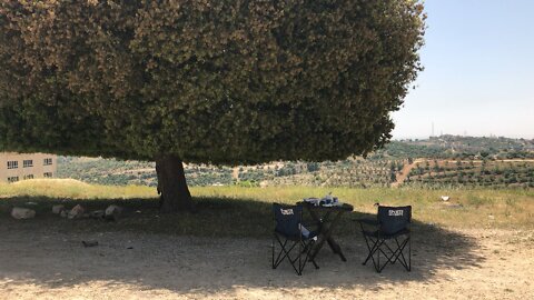 Picnic under famous tree in Jordan close shot