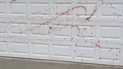 Hot sauce vandalism leaves neighbors heated