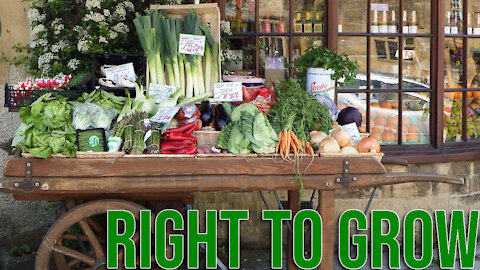 Right to Eat & Grow Food: Efforts to Protect in State Constitutions