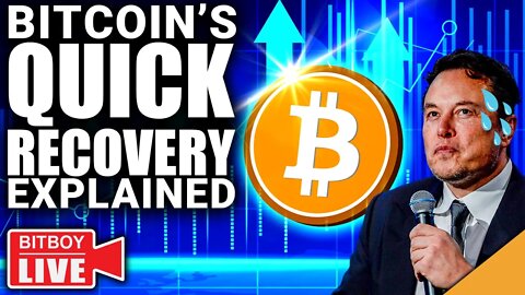 Bitcoin's QUICK Recovery Explained (Elon Musk in Trouble?)