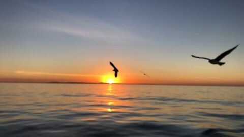 So Cal Sunset On The Ocean Slo-mo