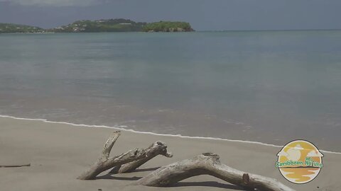 Relaxing sounds of the waves of the Caribbean Sea wahing up on a log . Nature Sounds , Water Sounds.