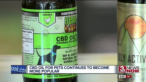 CBD for Pets