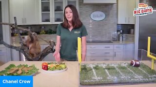 Busch Gardens | Morning Blend