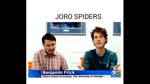 JORO SPIDER