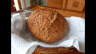 No-Knead Sunflower Seed Honey Whole Wheat Bread (updated)… super easy… no machines