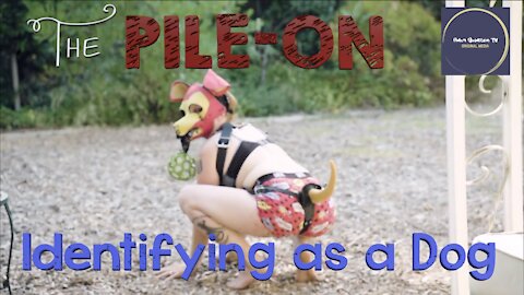 The Pile On - Identifying as a Dog (Ep. #1)