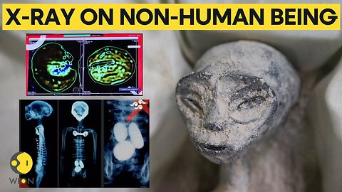 Mexican UFO expert conducts x-rays on 'non-human' beings presented at Congress