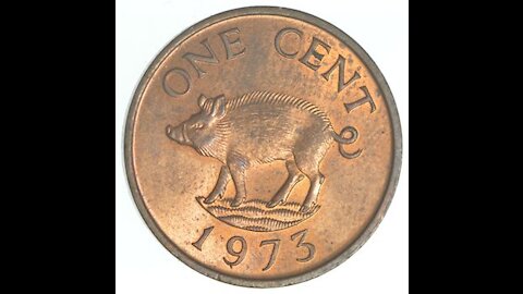 (14) There is a pig on the penny! - Bermuda - collectable coins for beginners