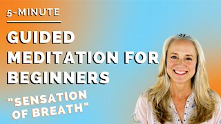 5 Minute Guided Meditation for Beginners | "Sensation of Breath" | [3 of 20]