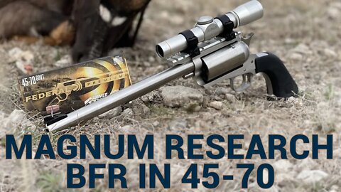 Big, Fine, and 45-70: Why the Magnum Research BFR Succeeds on Safari