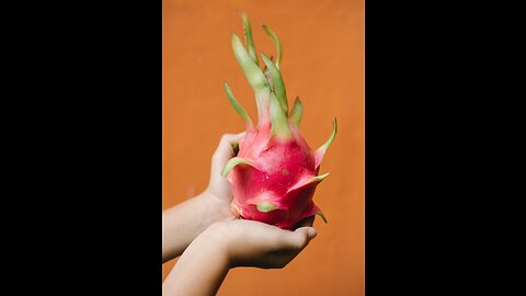 Pitahaya, esperanzas para pacientes de Cáncer pulmonar