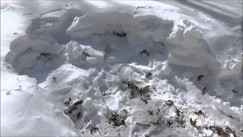 Digging For "Buried Treasure" And Preparing For Maple Syrup Season