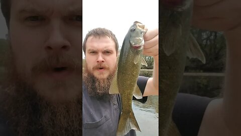 First Cast First Catch Missouri Small Mouth River Fishing #fishing #smallmouthbassfishing #fish