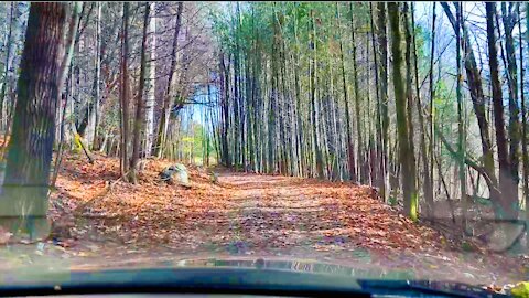 Quebec country backroads - driving timelapse