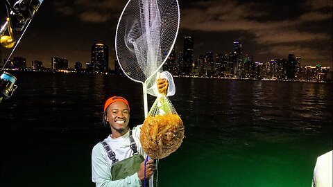 SHRIMPIN ain't easy! How to Catch THOUSANDS of *Wild* Shrimp in MIAMI