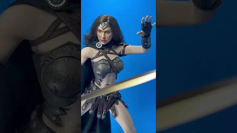 Spartan Commander TBLeague/Wonder Woman #toys #shorts #tbleague #wonderwoman #actionfigures