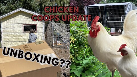 Chicken coop update and unboxing our solar chicken door