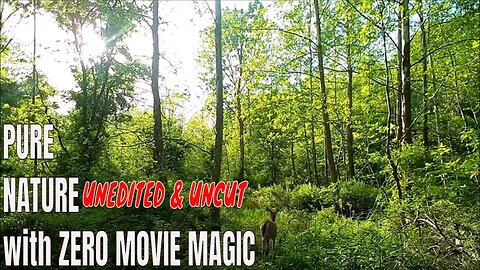 PURE NATURE UNCUT: The River Bottom 2022 With ZERO Movie Magic