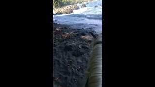 Horse Riding over the Beach