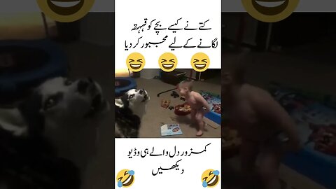 #funnydogs #funnybaby #ٰہسنے کے لیے بس موقعہ چاہئے