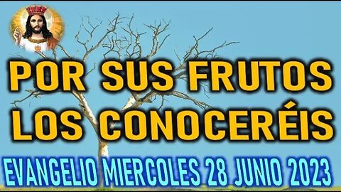 EL EVANGELIO DEL DÍA POR SUS FRUTOS LOS CONOCERÉIS MIERCOLES 28 JUNIO 2023