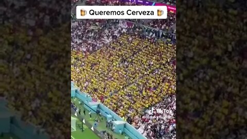 Ecuador supporters Want Beer!!!! #shorts #qatar #qatarvsecuador #worldcup #funny #viral #foryou #fy