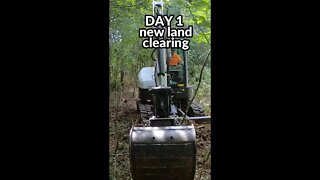 DAY 1 of new land clearing project #shorts