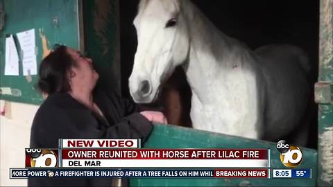 Owner reunited with horse after Lilac Fire