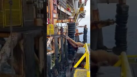 Sea Lion Trying to Jump into Water From Oil Rig Hits Boat