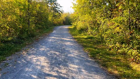 Soothing Autumn Ride through Lovely Forest Trails