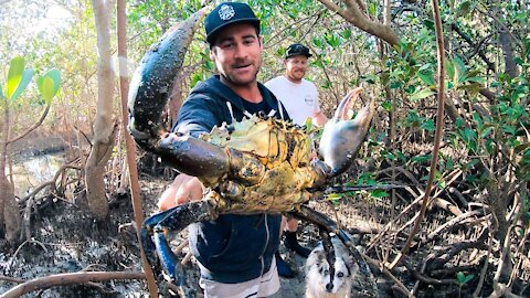 GIANT MUD CRAB Catch And Cook Camp Fire