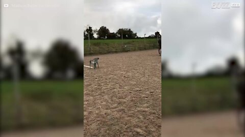 Même le plus petit obstacle est trop grand pour ce cheval!