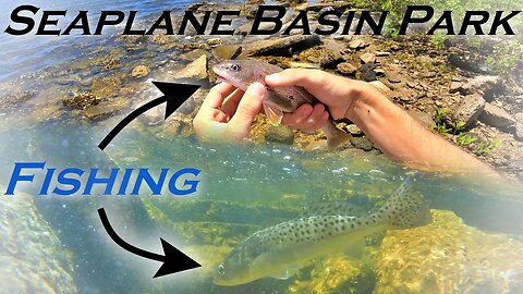 Seatrout, Whiting, stingrays, and more at Seaplane Basin Park