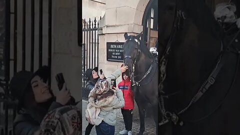 Boy doges the bite #horseguardsparade