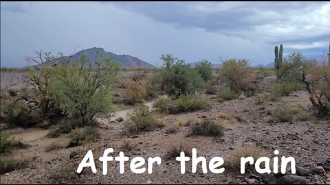 Camp Roger's Journey - Rain at La Posa South near Quartzsite Arizona