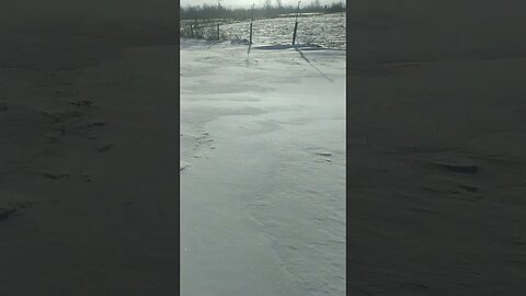 Winter... #farmlife #ontario #snow