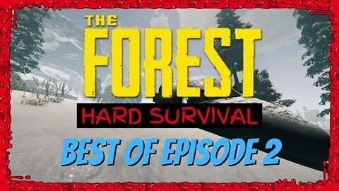 BEST OF EPISODE 2 | The Forest