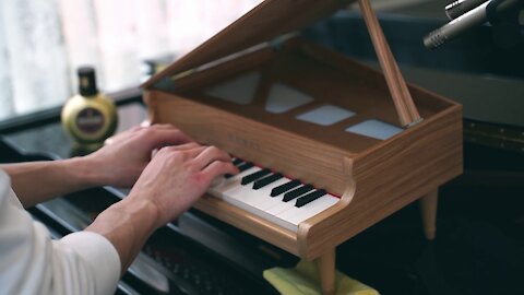 Mozart - Rondo Alla Turca (Turkish March) Medley on Toy Piano!