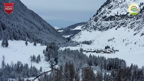 A Perfect Paradise: Life in a Winter forests - Splendid Nature - Harmonious Scenery